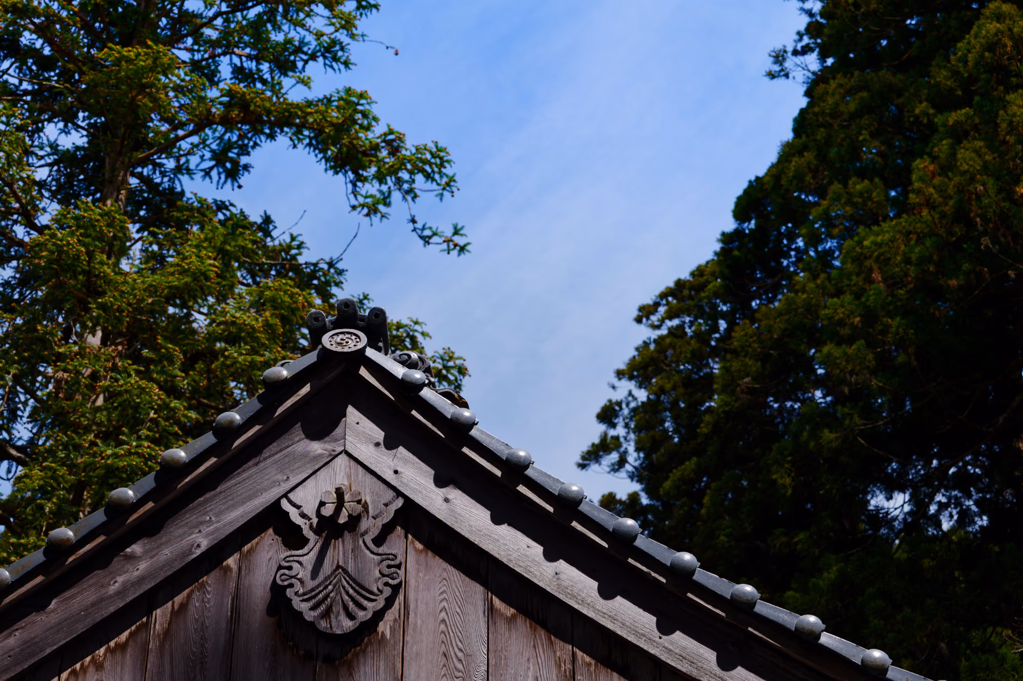 Pointed wooden roof with decorative carving and tiles against blue sky and green trees.