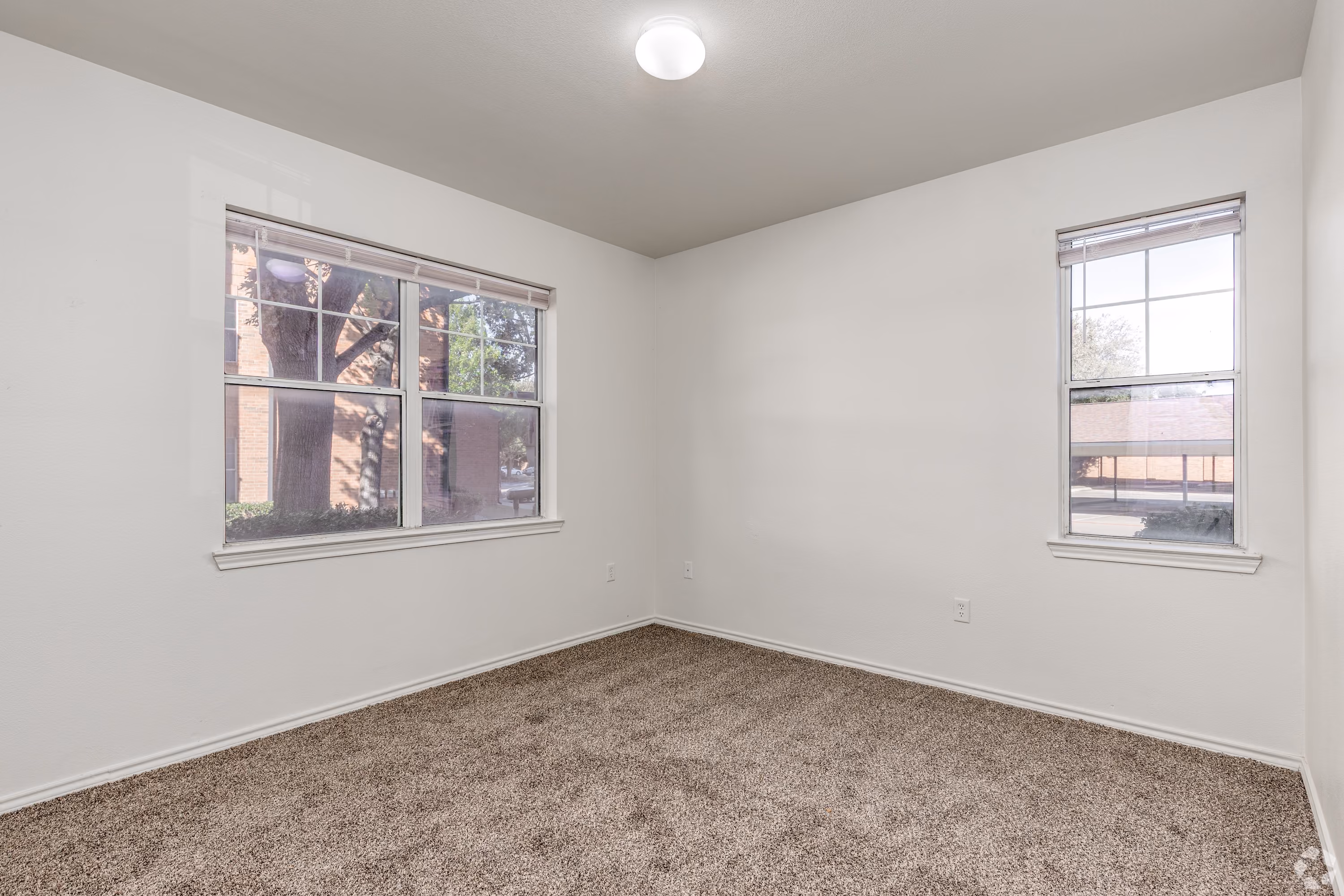 Empty apartment with carpet and white walls