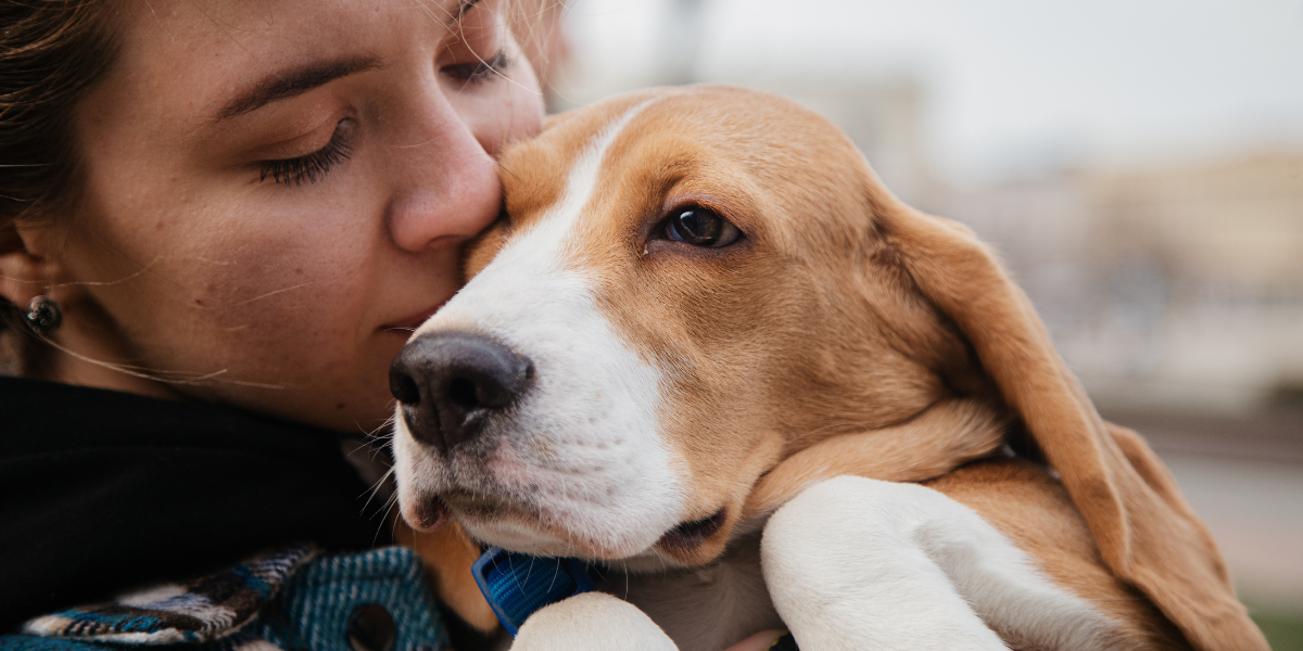 Answers to common pet cremation questions in Louisville, KY