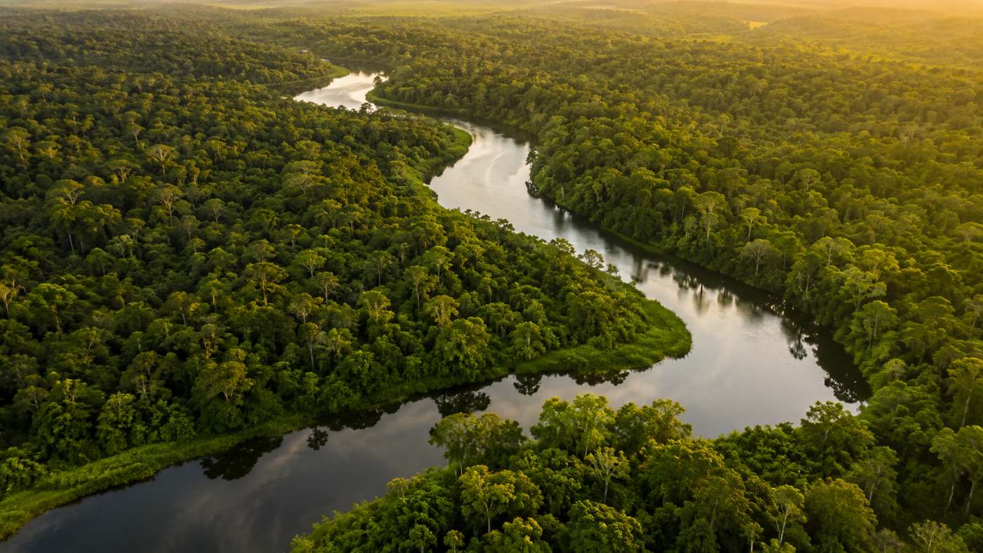Undeveloped river valley seen from the air, before any development