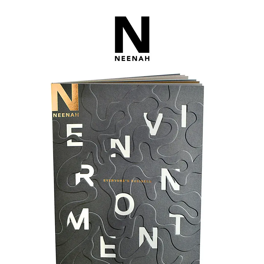 Neenah Environment