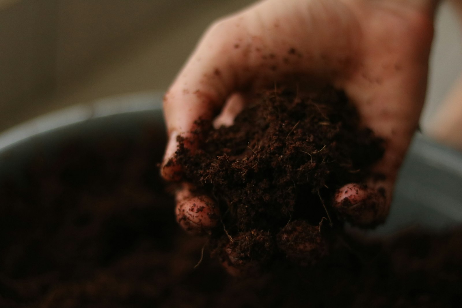 Is paper biodegradable? Compostable and recyclable paper explained