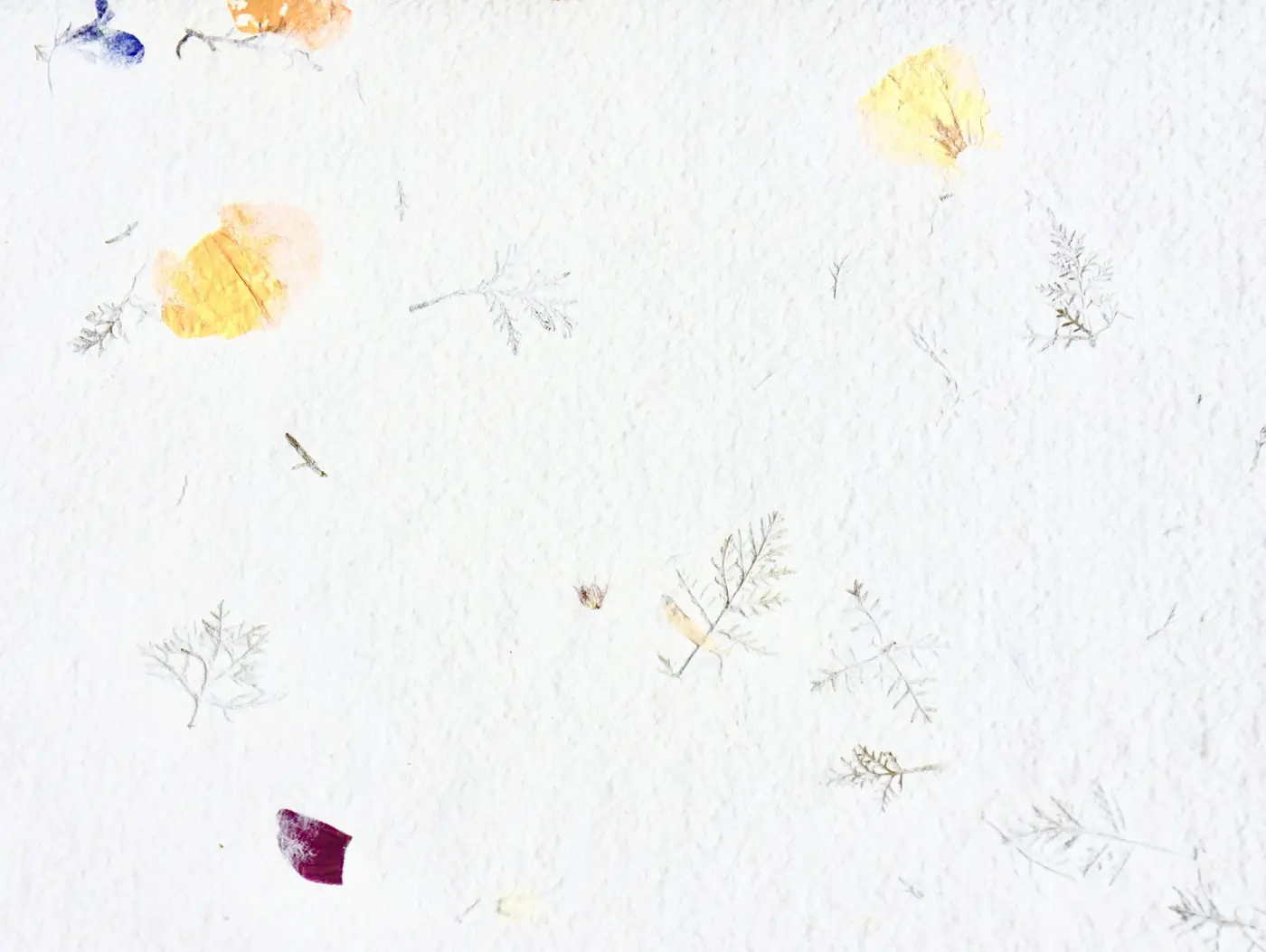 Seed Paper