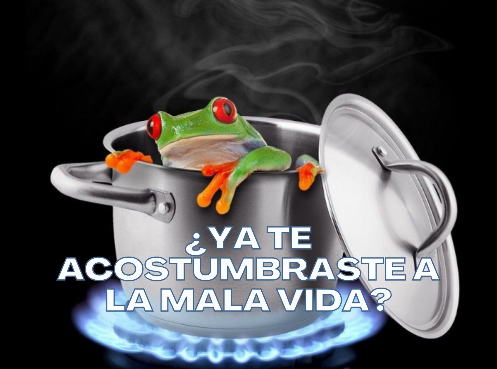 ¿Ya te acostumbraste a la mala vida?