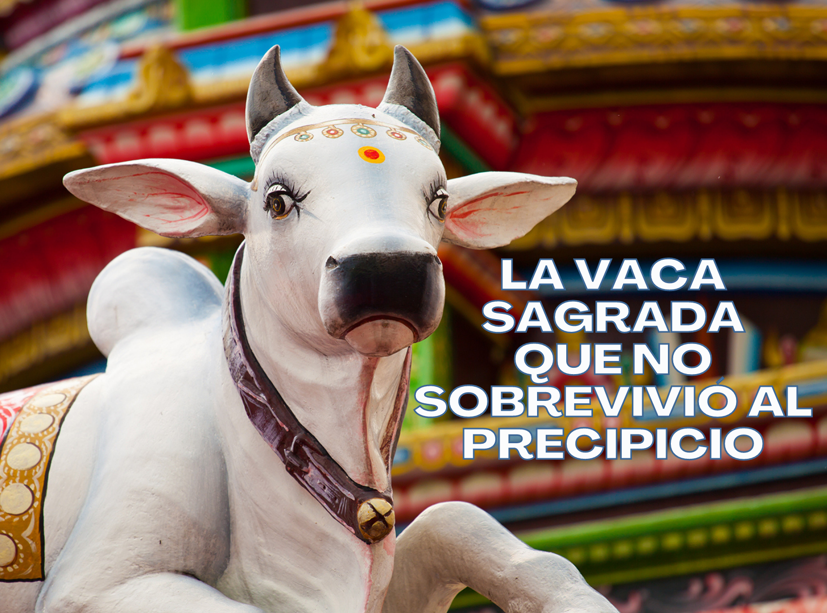 La vaca sagrada que no sobrevivió al precipicio