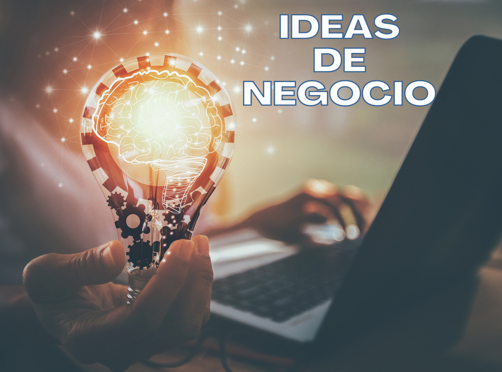 Ideas de negocio