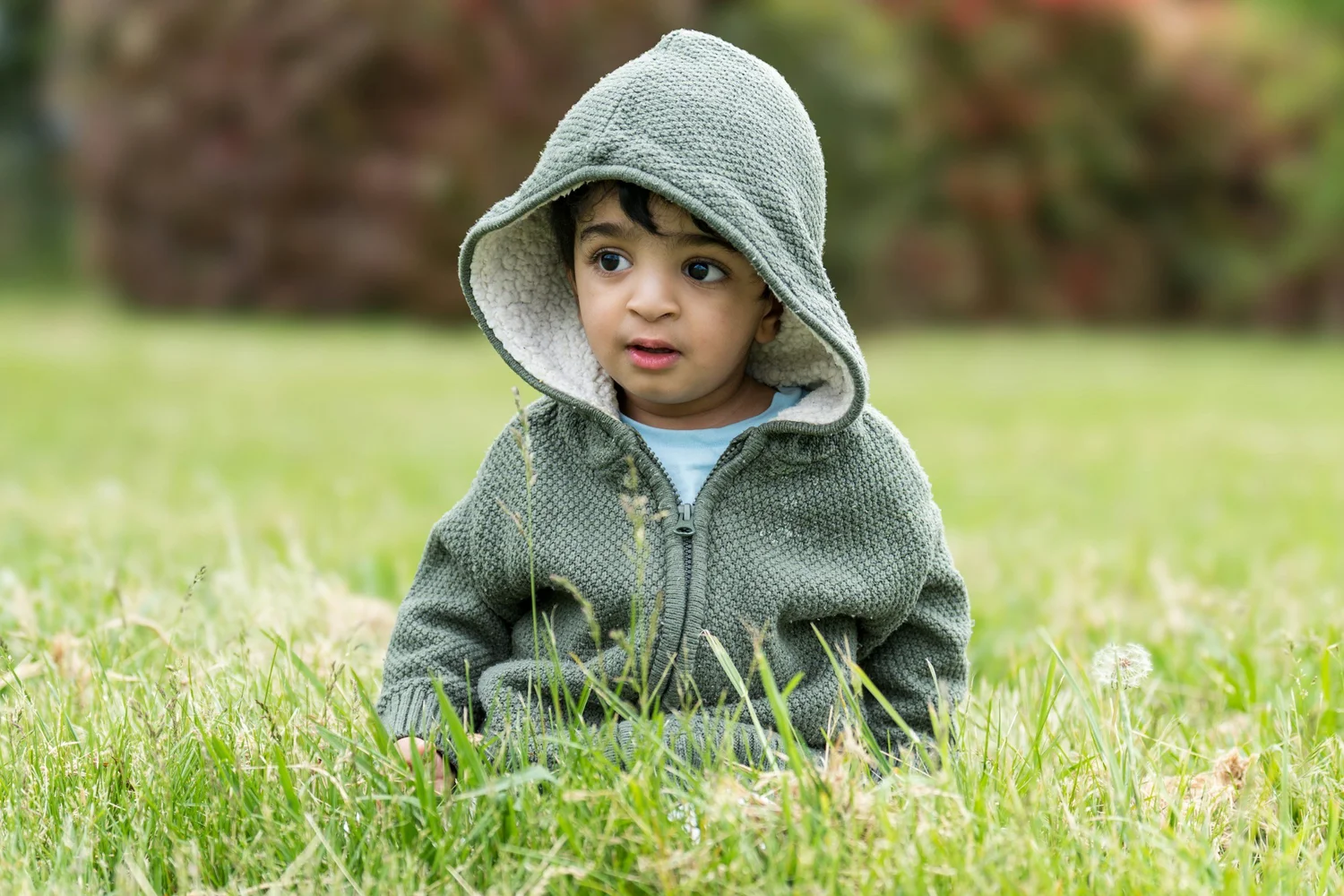 A toddler in a hooded jacket sitting in the grass