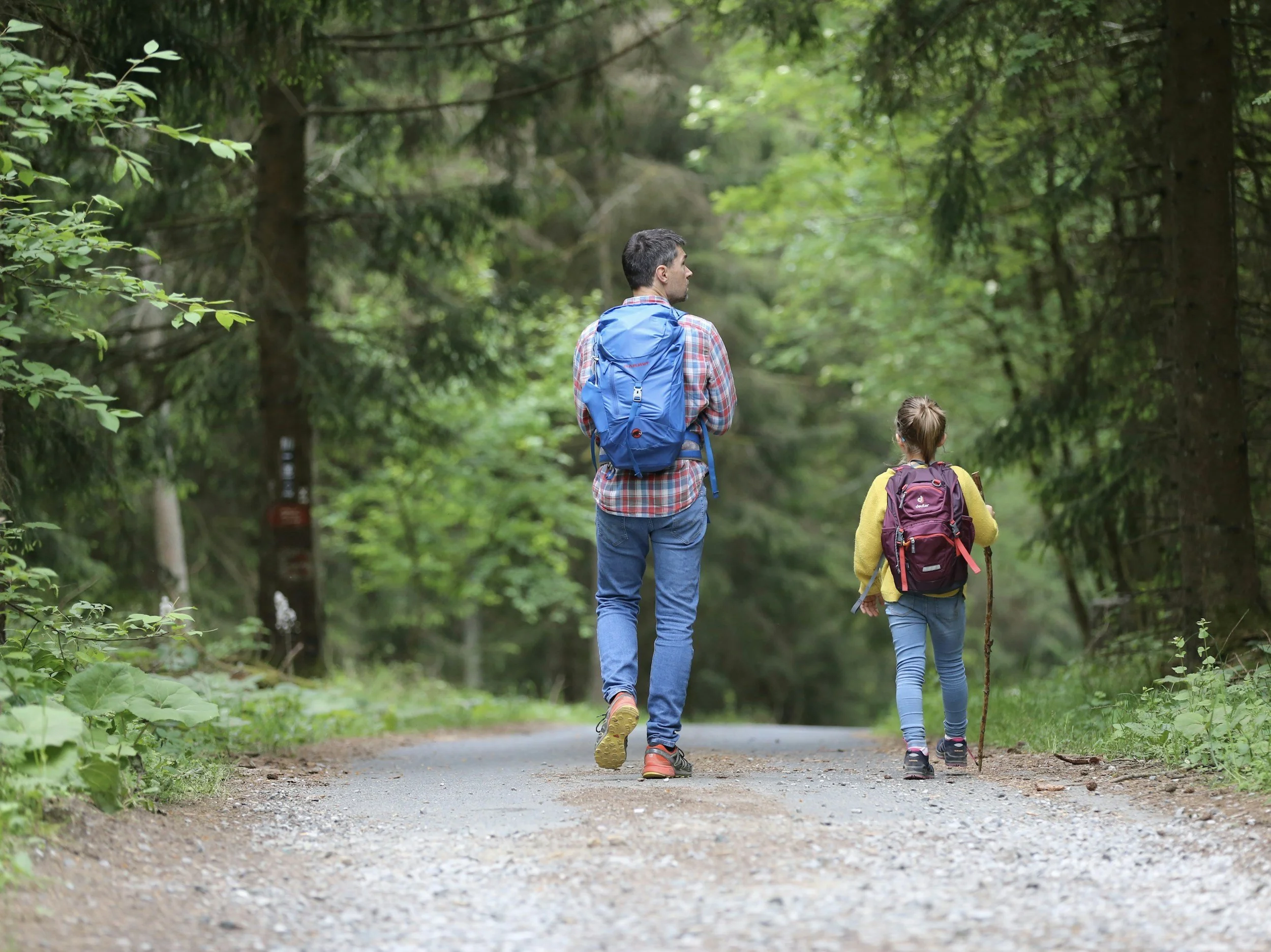 A parent and child walking a forest path, seen from behind