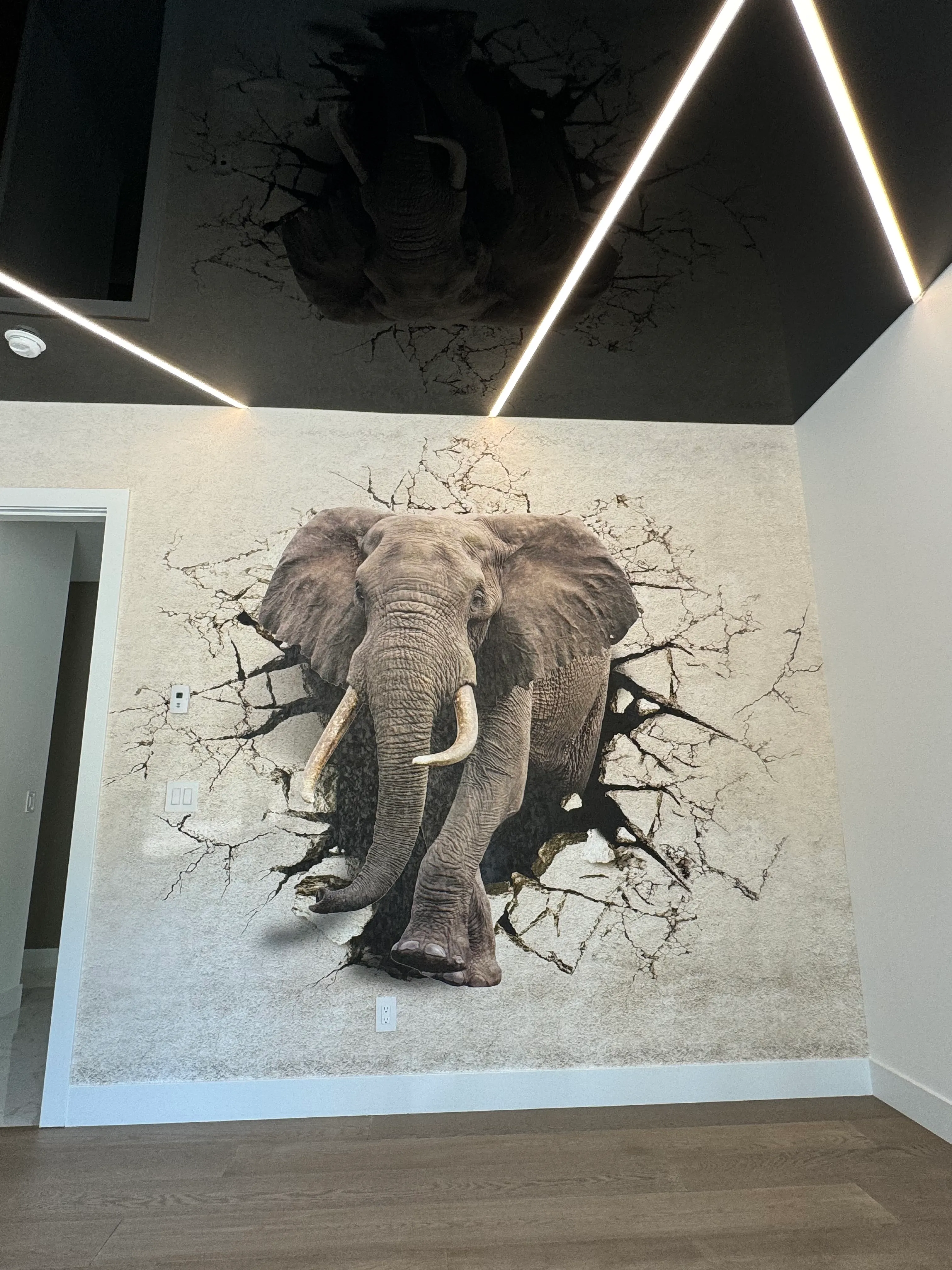 Printed stretch membrane feature with recessed linear LED lighting in a commercial interior