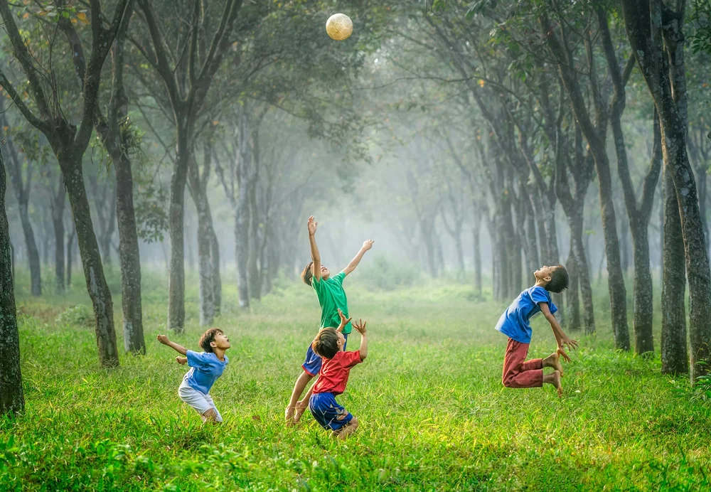 Children playing catch in a misty avenue of trees