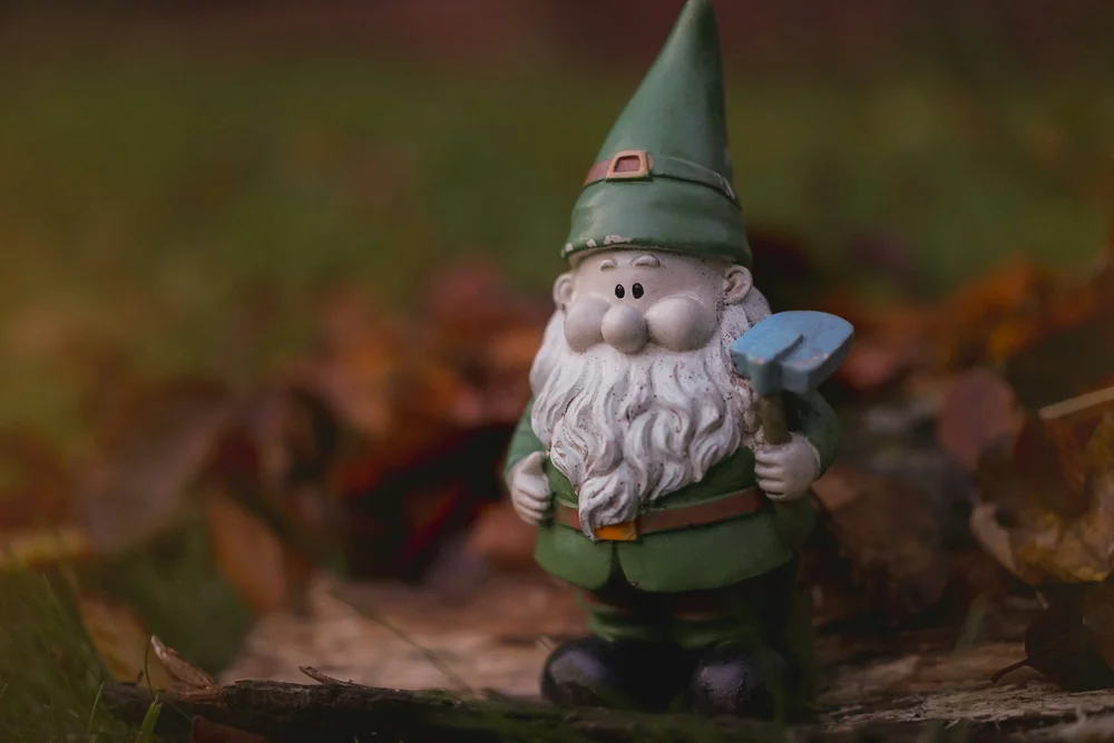 A garden gnome standing among autumn leaves