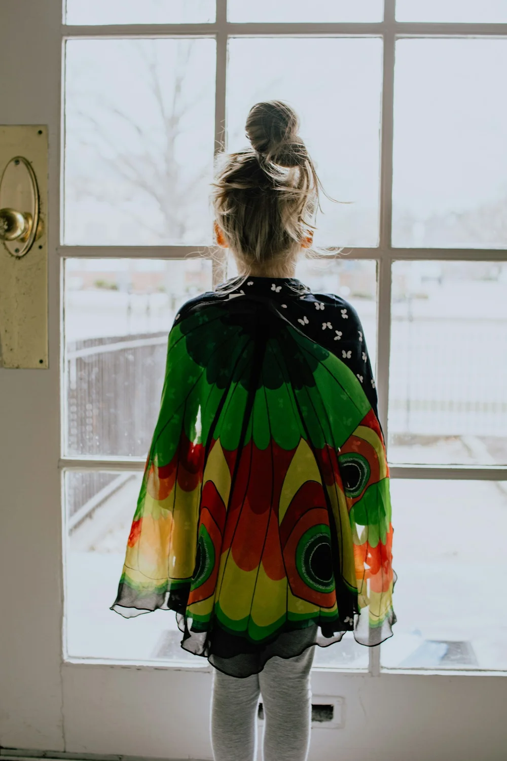 A child in a butterfly costume standing at a bright window