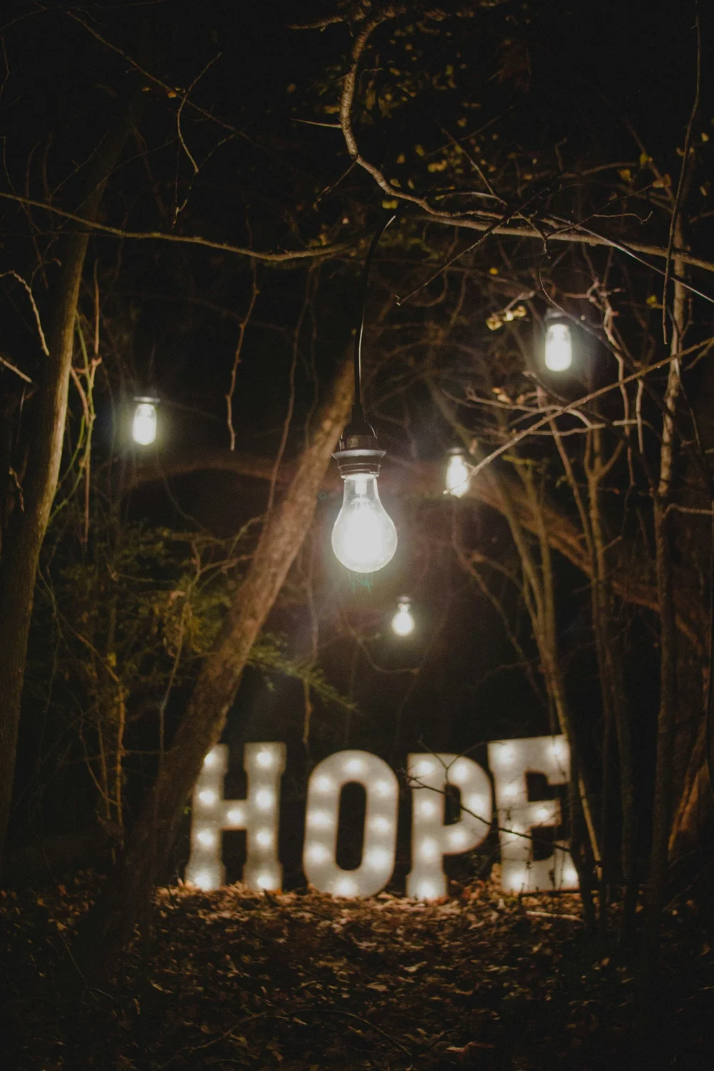 The word HOPE spelled in lights among trees at night