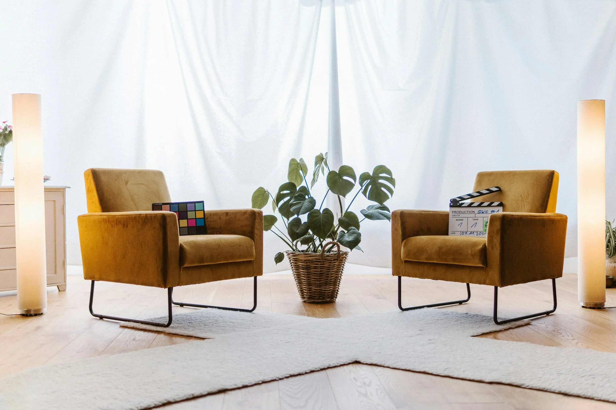 Two mustard-yellow armchairs facing each other with a plant between them