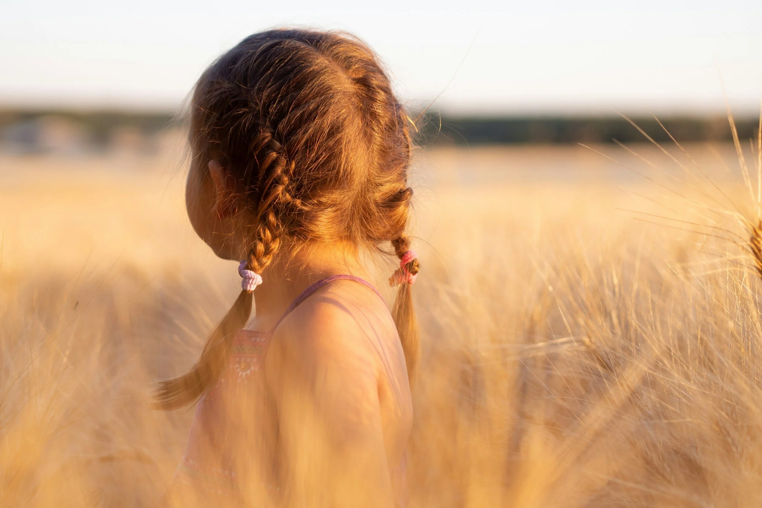 A girl with braids standing in a field of tall dry grass, seen from behind