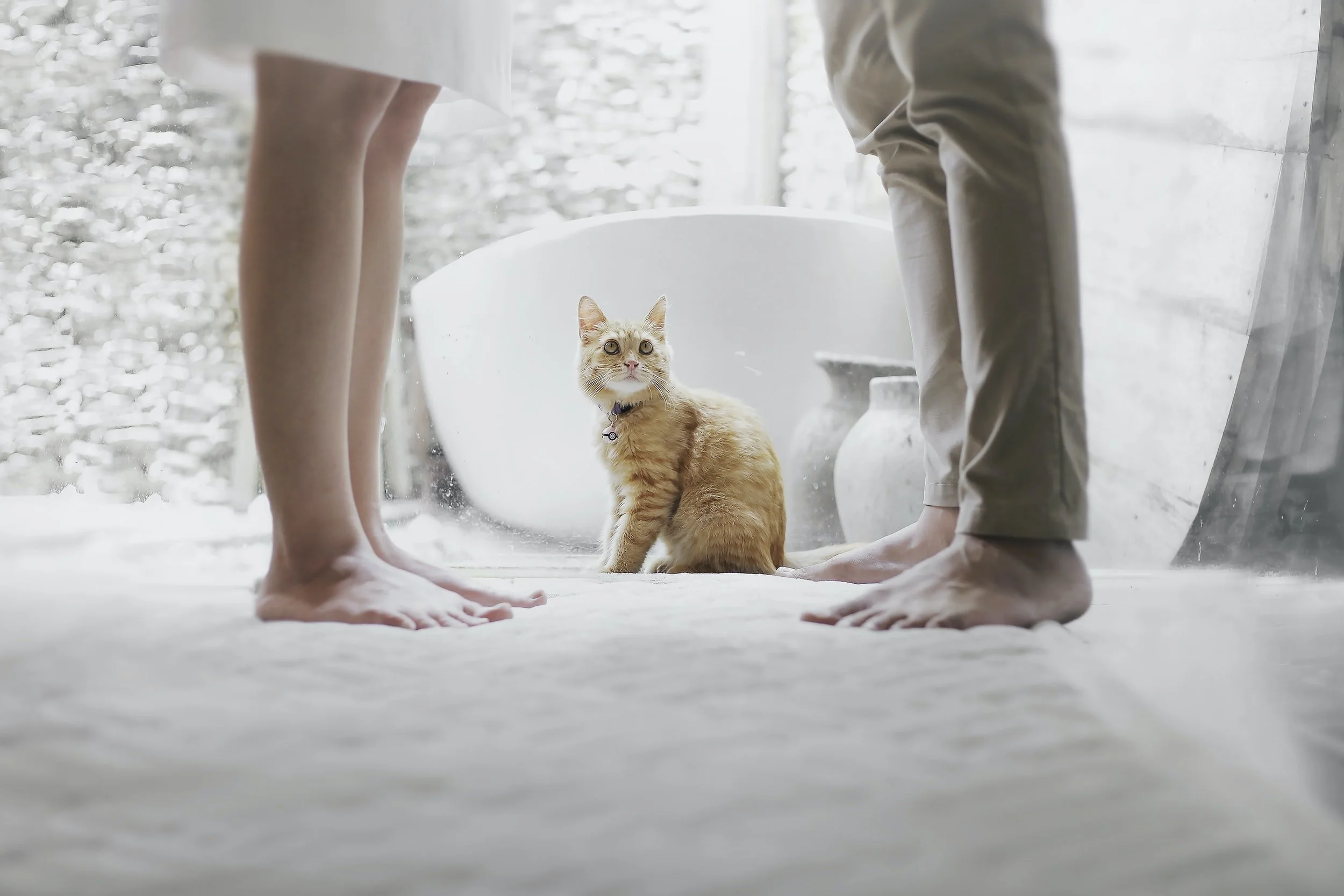 A ginger kitten sitting between two people's bare feet