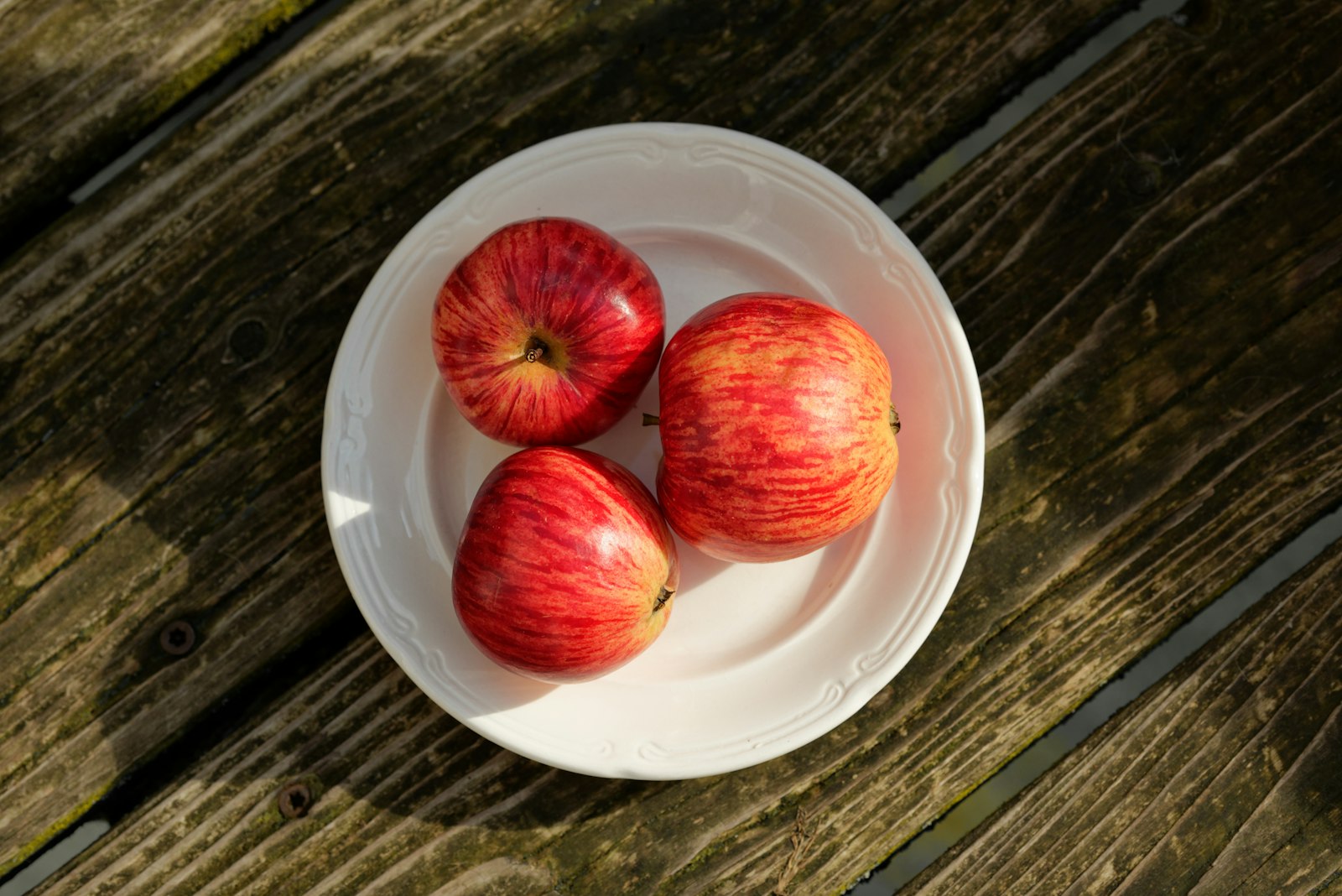 Apples on a plate, an after-school snack before homework starts