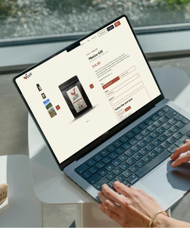 Product page mockup for Lil' Red Roaster