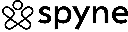 Spyne