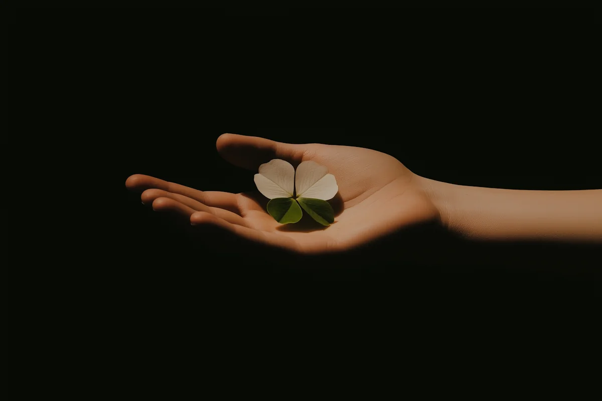 Hand Holding Flower — Field Notes project cover.