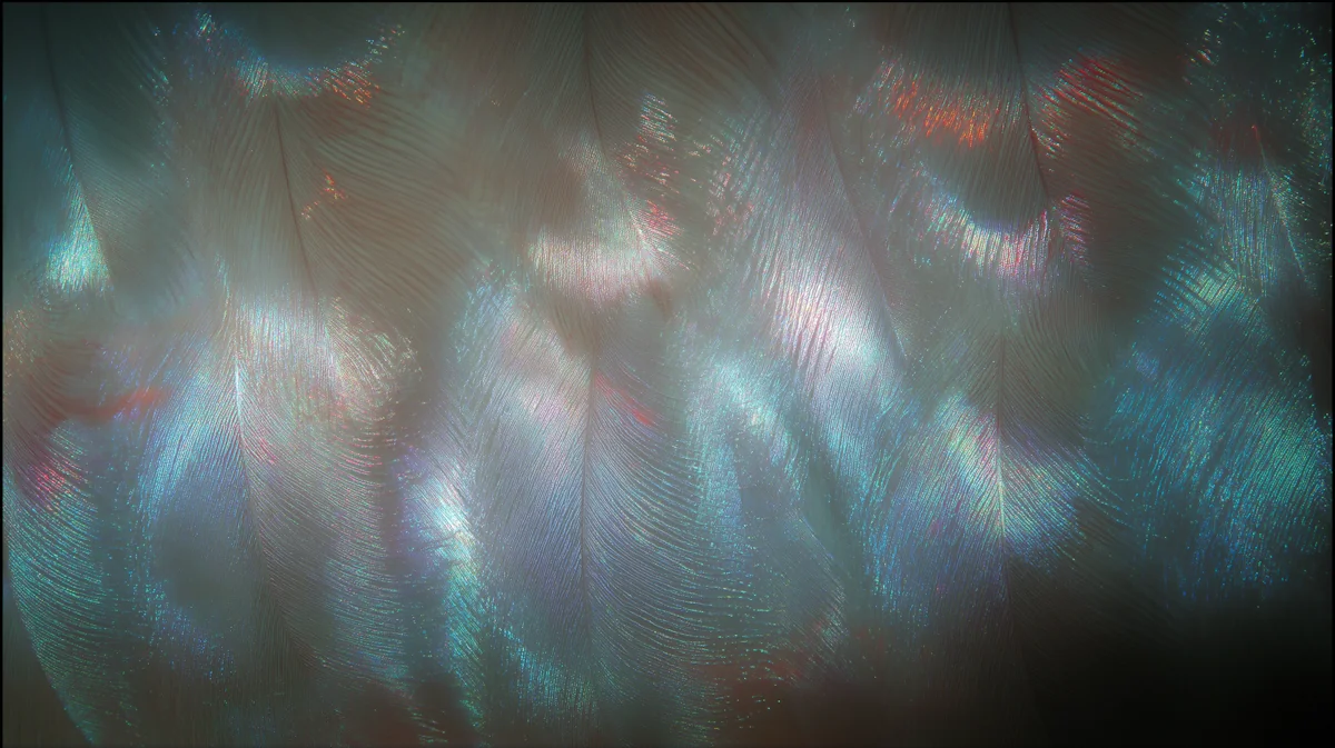 Iridescent Surface for the Signal / 01 project.