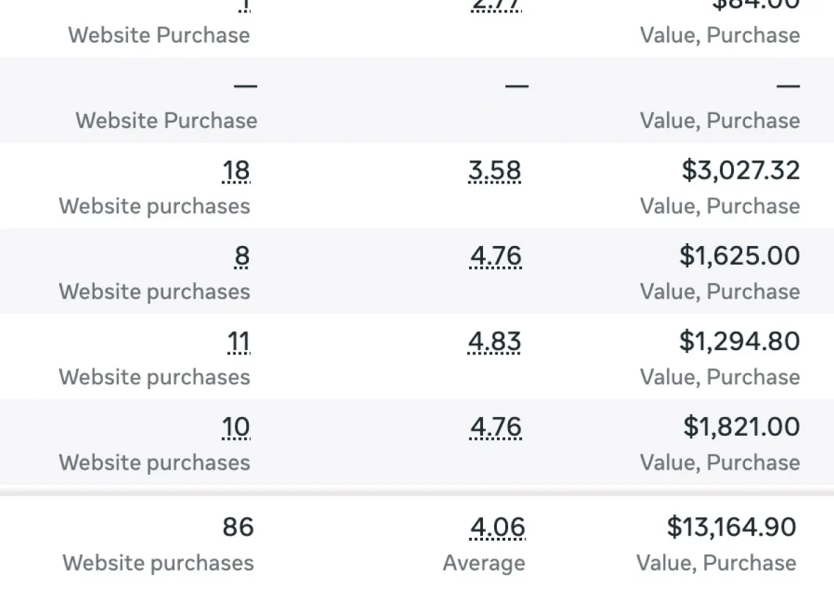 Placeholder for a client ad account screenshot