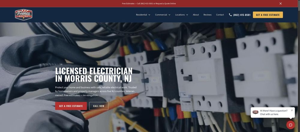 Homepage of the Trapani Electric website