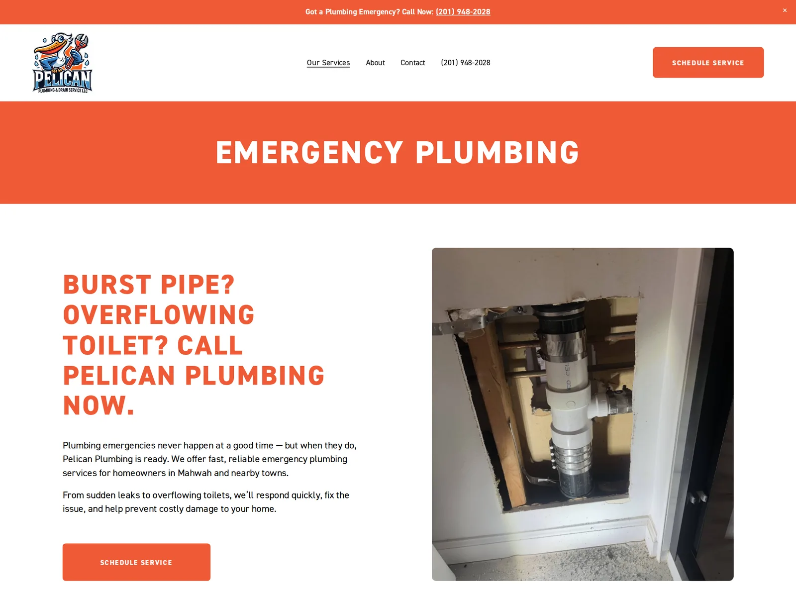Pelican Plumbing