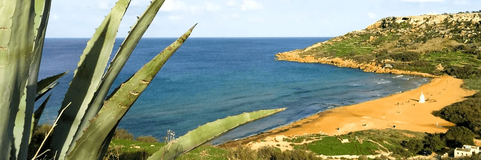 View of a coastline with clear blue sea, sandy beach, rocky hill, and cactus leaves in foreground.