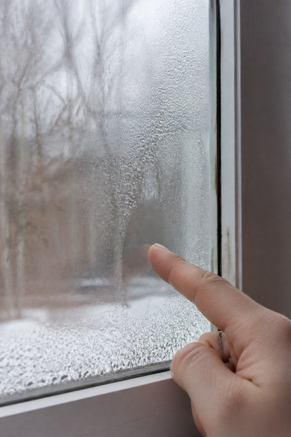 Homeowner noticing condensation on the interior surface of a window
