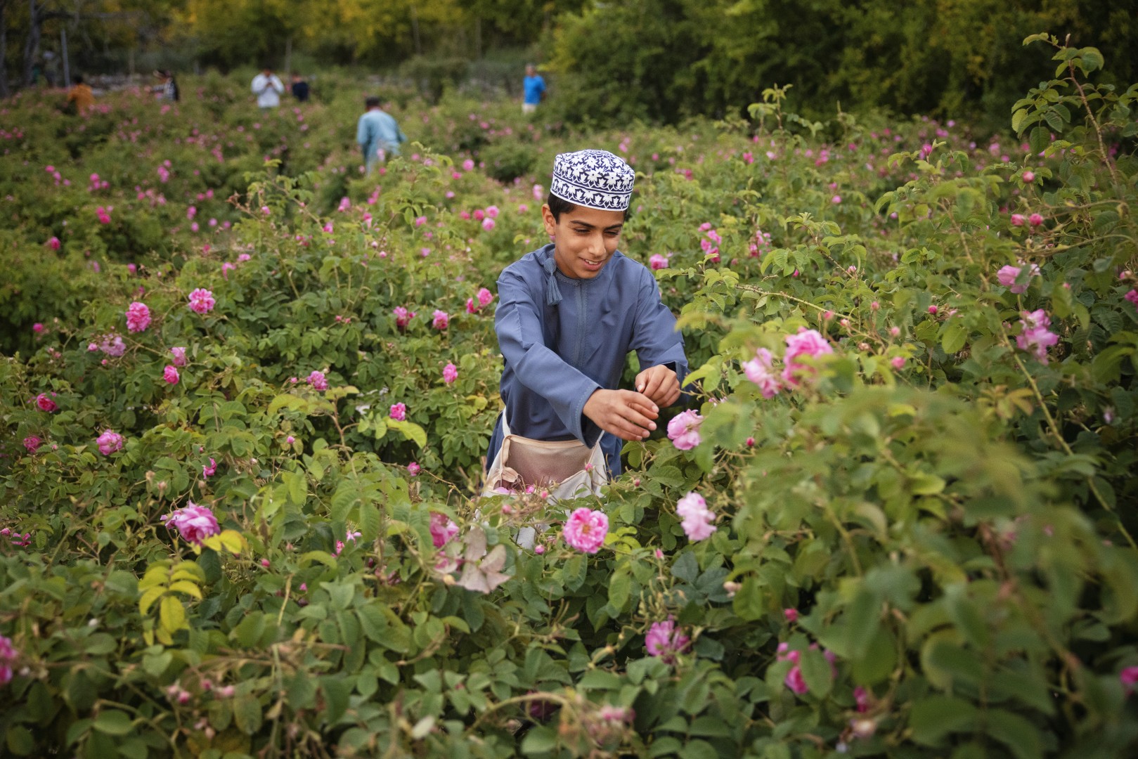 Oman in April: Rose Season, Mountains & Wadi Weather