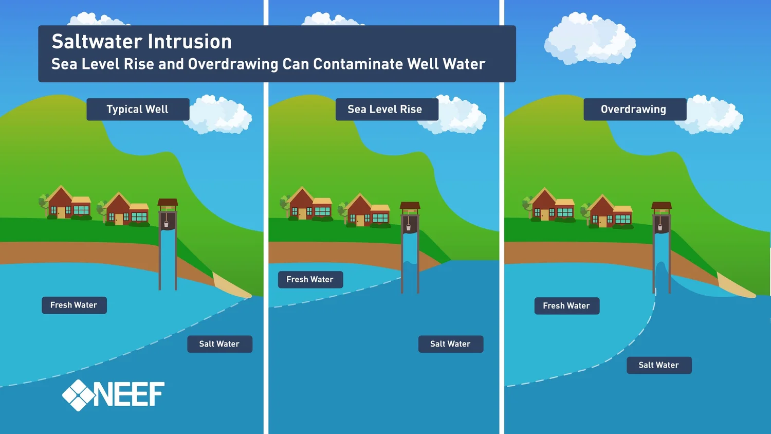 Infographic depicting how saltwater intrusion works