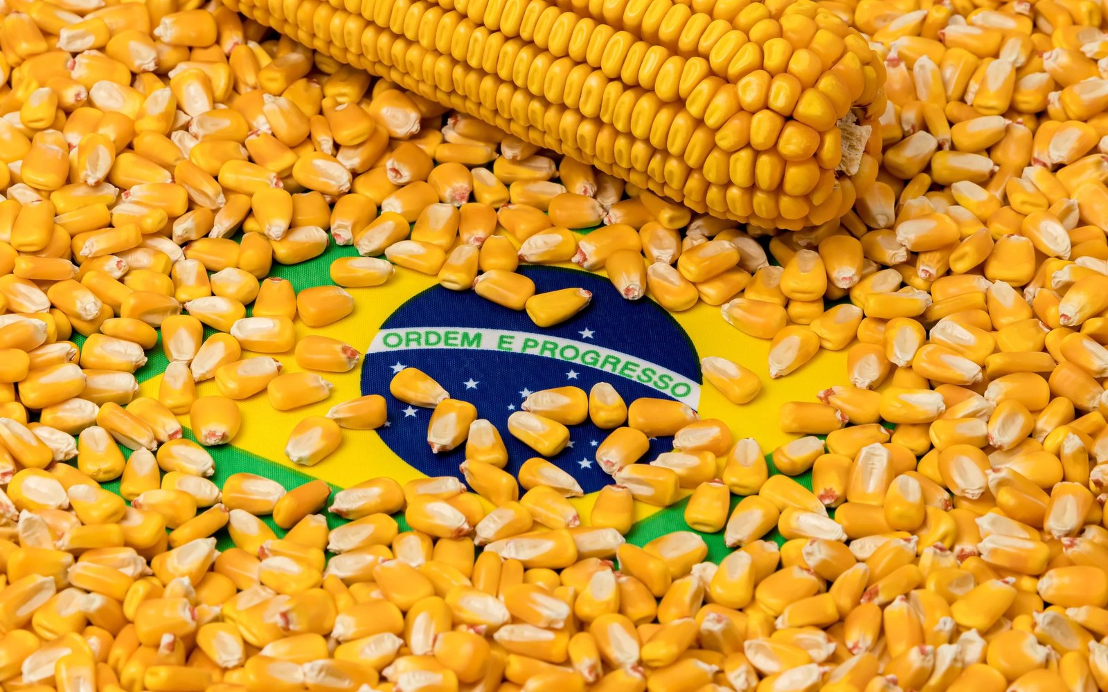 Brazil's corn export price turned within weeks of the June flag