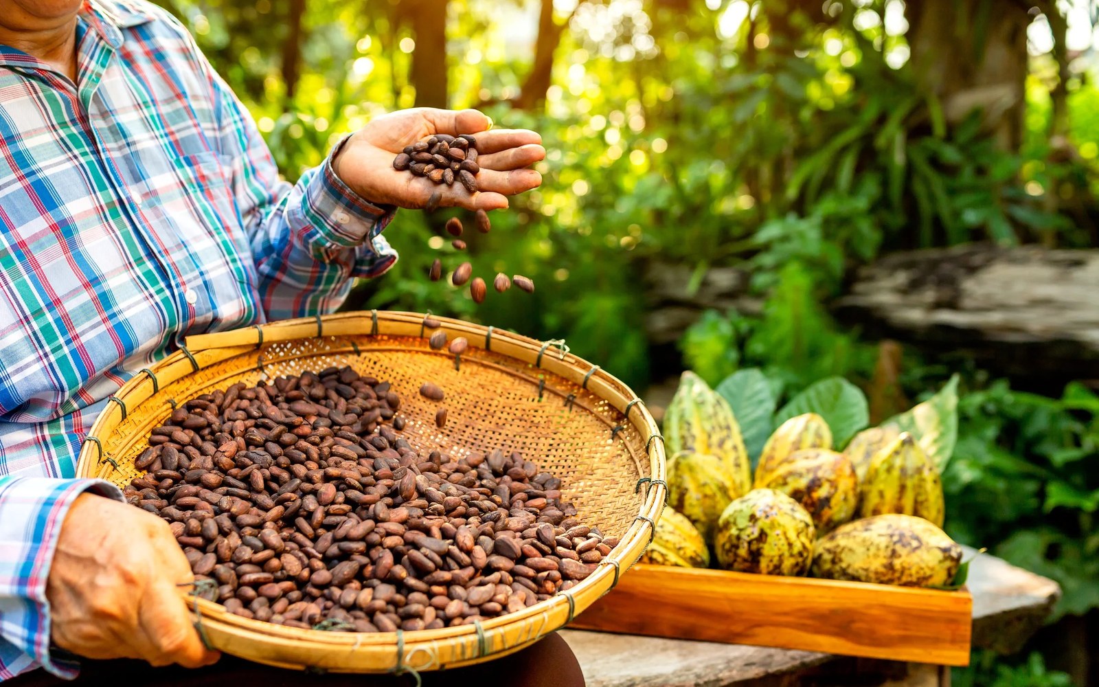 An origin marked down in May shipped a third less cocoa