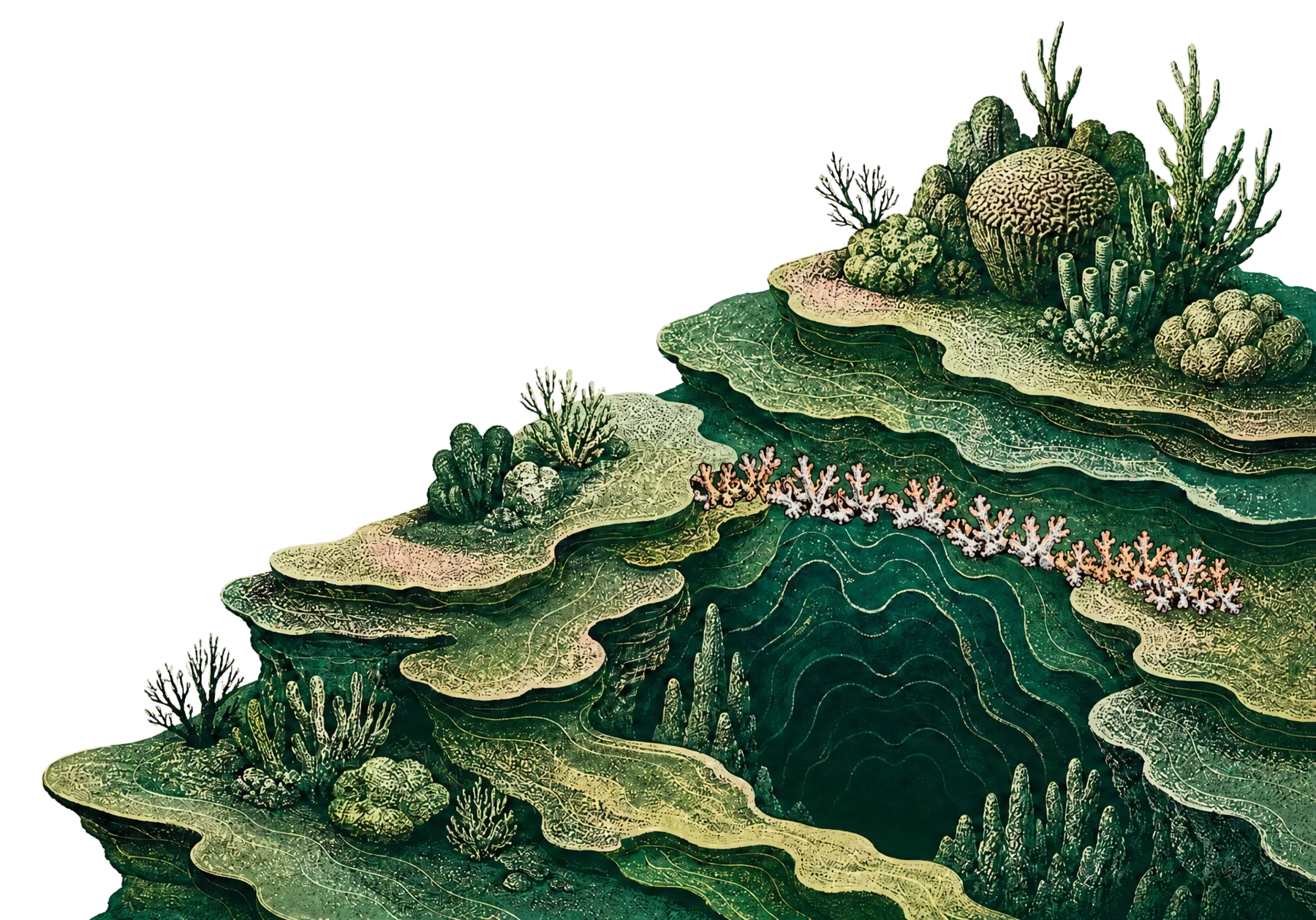 A cut-paper reef with a dark boundary cut into it, where a finding is refused rather than crossed.