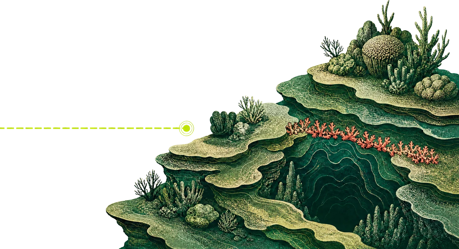 A lime thread runs out to the edge of a reef shoal and stops there, declined rather than crossed.