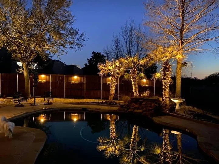 Landscape uplighting illuminating mature trees and a backyard pool at dusk