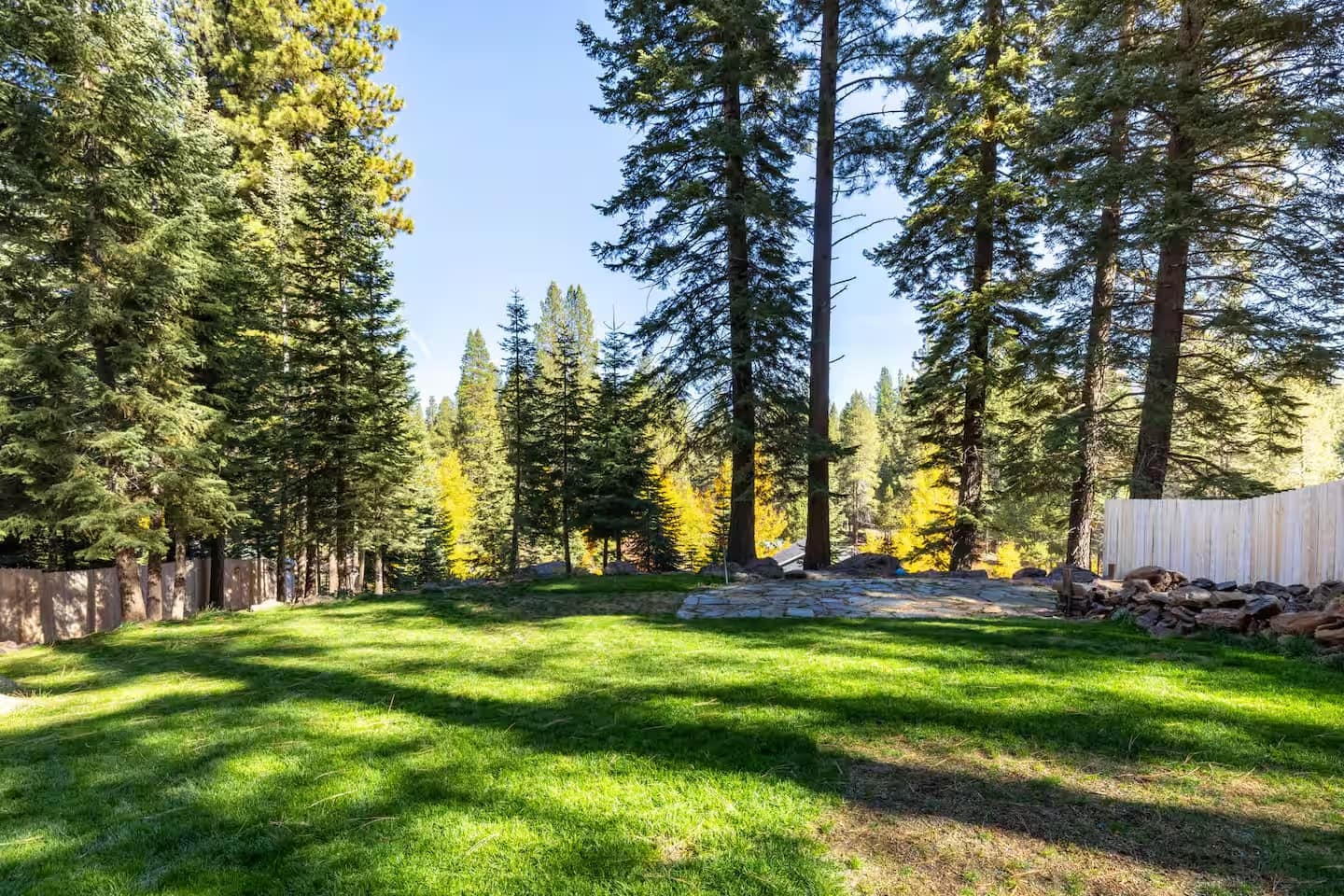Fenced grassy yard surrounded by pine trees