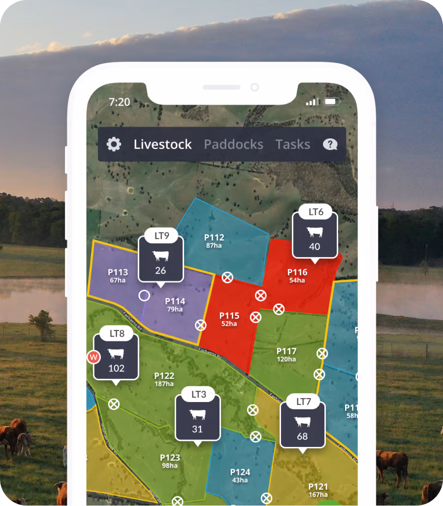 Mobile phone screen showing a livestock management app with a map divided into colored paddocks labeled with paddock numbers and sizes in hectares, and livestock counts indicated in icons for each paddock.