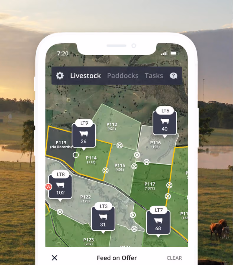 Smartphone screen displaying a livestock management app showing a map with paddocks marked by labels with livestock numbers, including LT9 with 26, LT6 with 40, LT8 with 102, LT3 with 31, and LT7 with 68, under tabs for Livestock, Paddocks, and Tasks. The map has various green and gray paddocks outlined in yellow and white, with white icons marking specific locations.