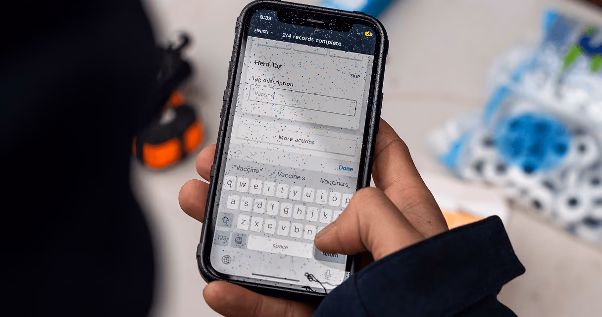 Person holding a smartphone displaying a data entry screen with the header 'Herd Tag' and a text box for 'Tag description' where the word 'Vaccin' is partially typed, surrounded by a blurry background including a blue and white object.