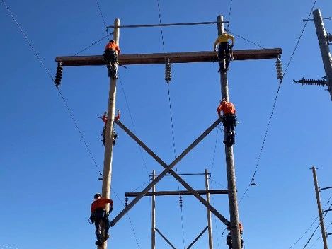 Your License to Climb: An Electrical Lineman's Frontline Defense