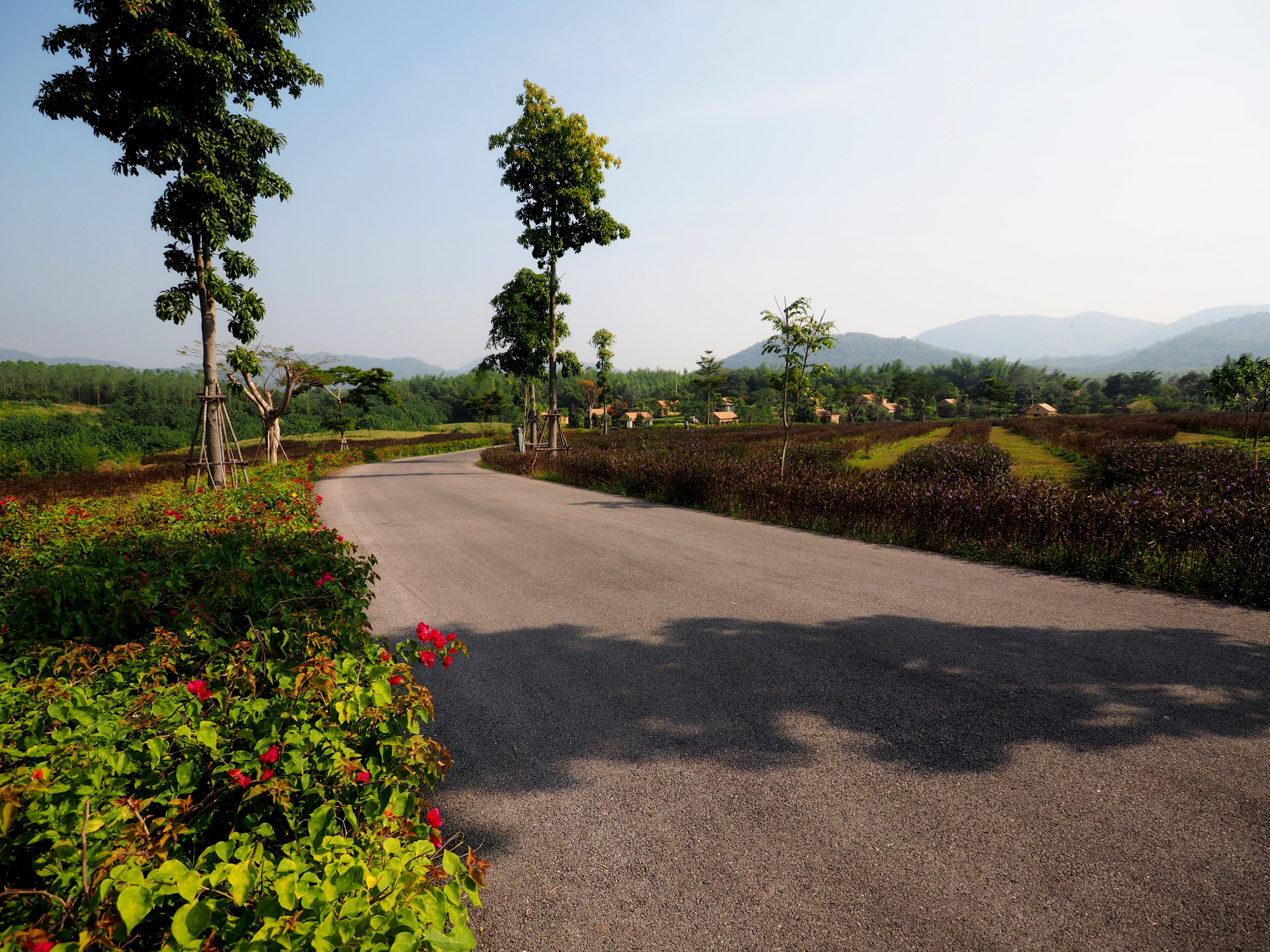 La Provence — Cancu Studio project in Suan Phueng, Ratchaburi, Thailand