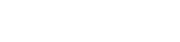 Logo Success Consultants white
