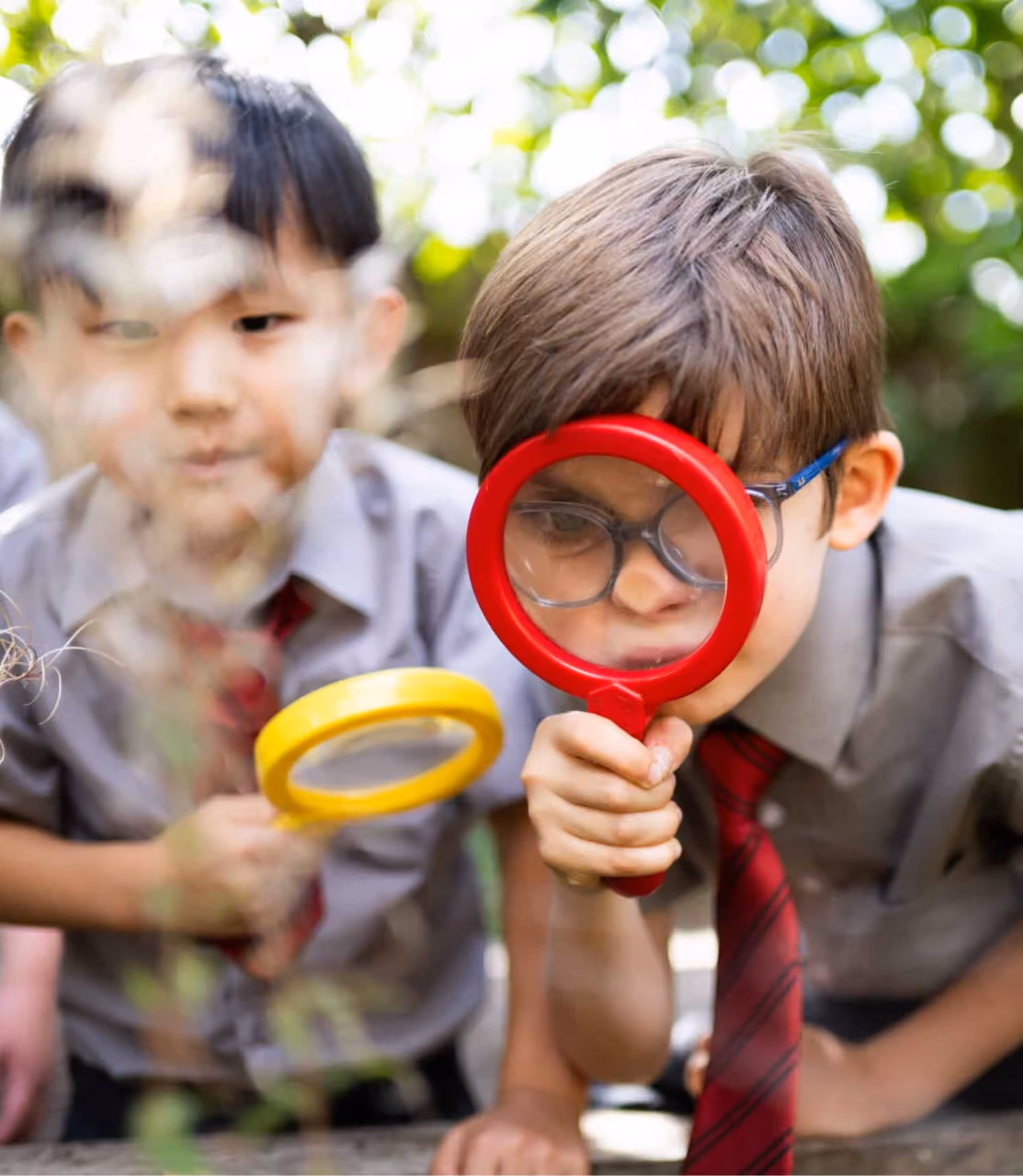 Two boys in shirts and ties examining something outdoors using red and yellow magnifying glasses.