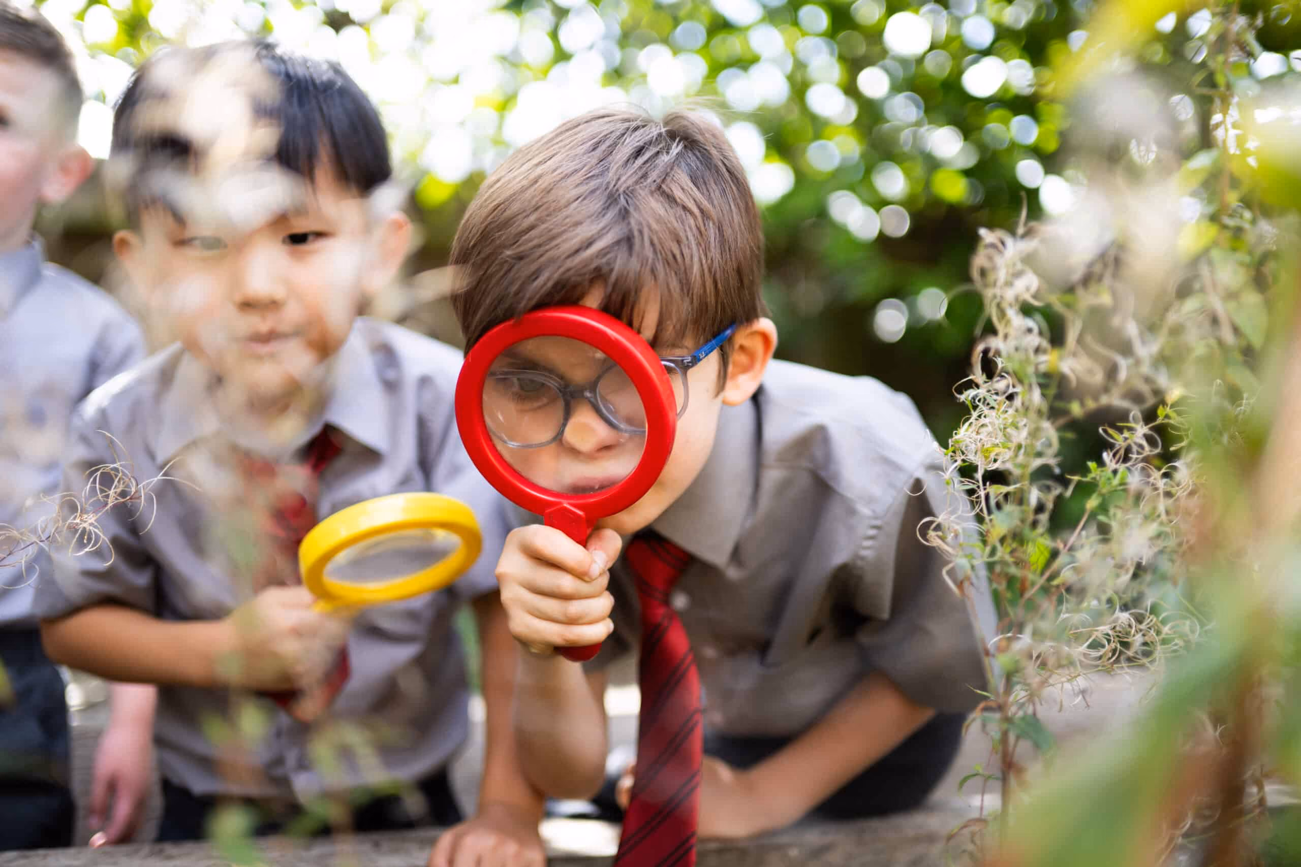 Three young boys wearing school uniforms closely examine plants outdoors, two of them using magnifying glasses, one red and one yellow.