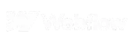 Webflow Expert Partner logo - Netflow