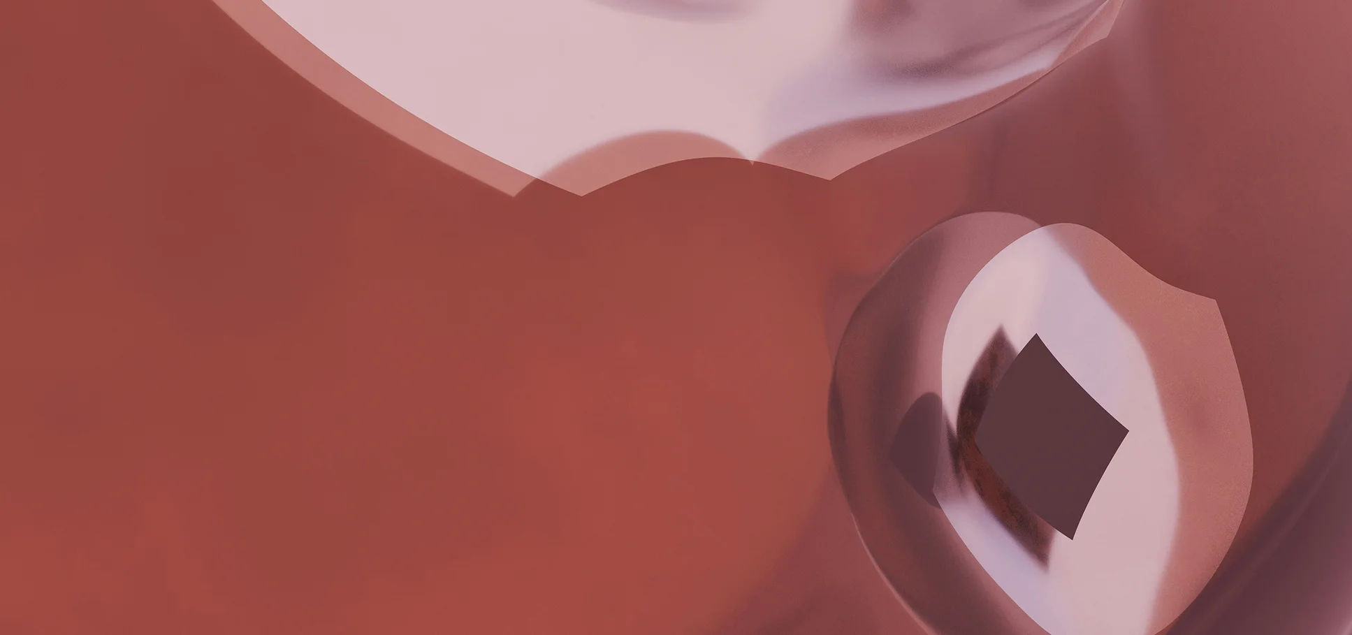 Single Image