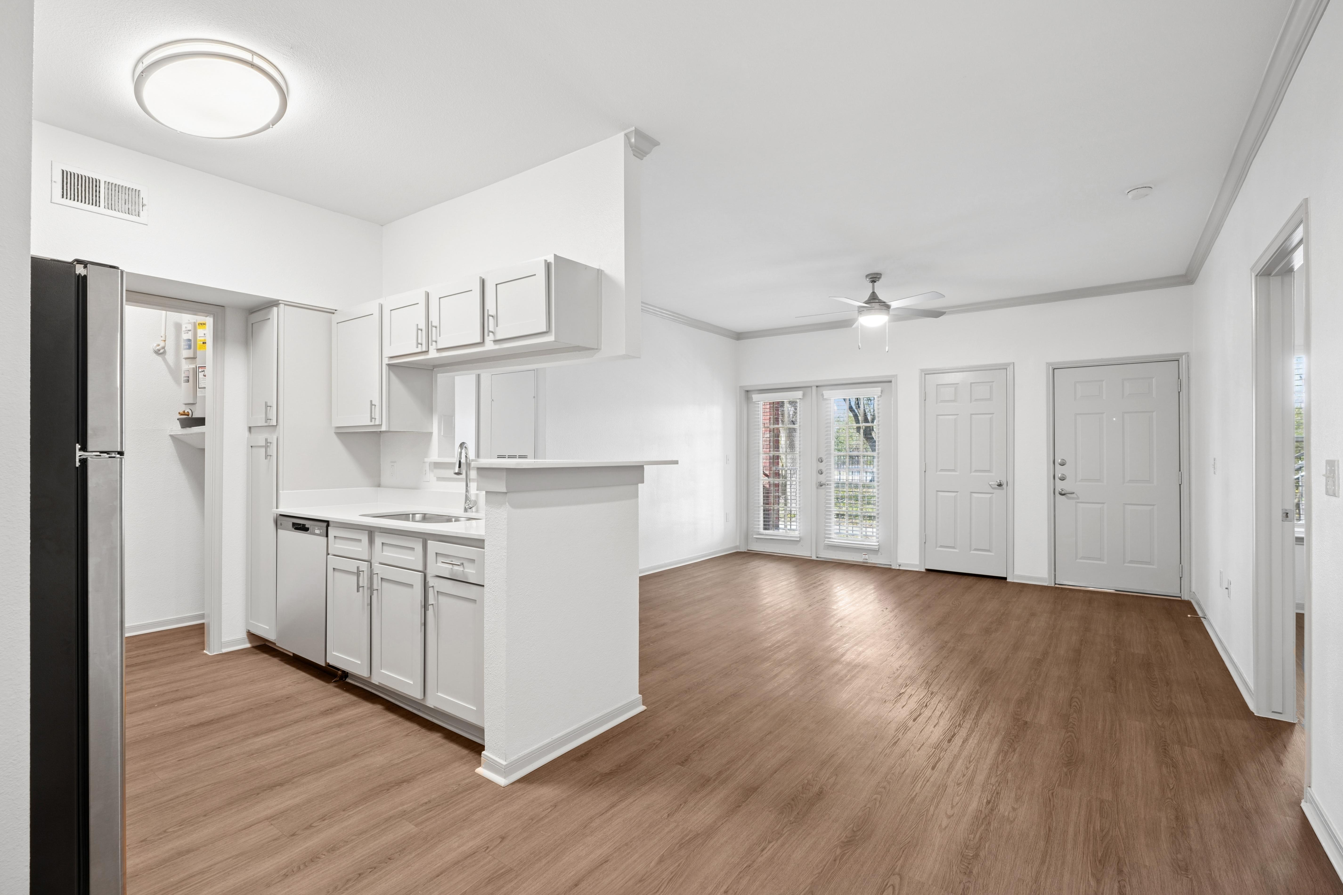 Living room and kitchen