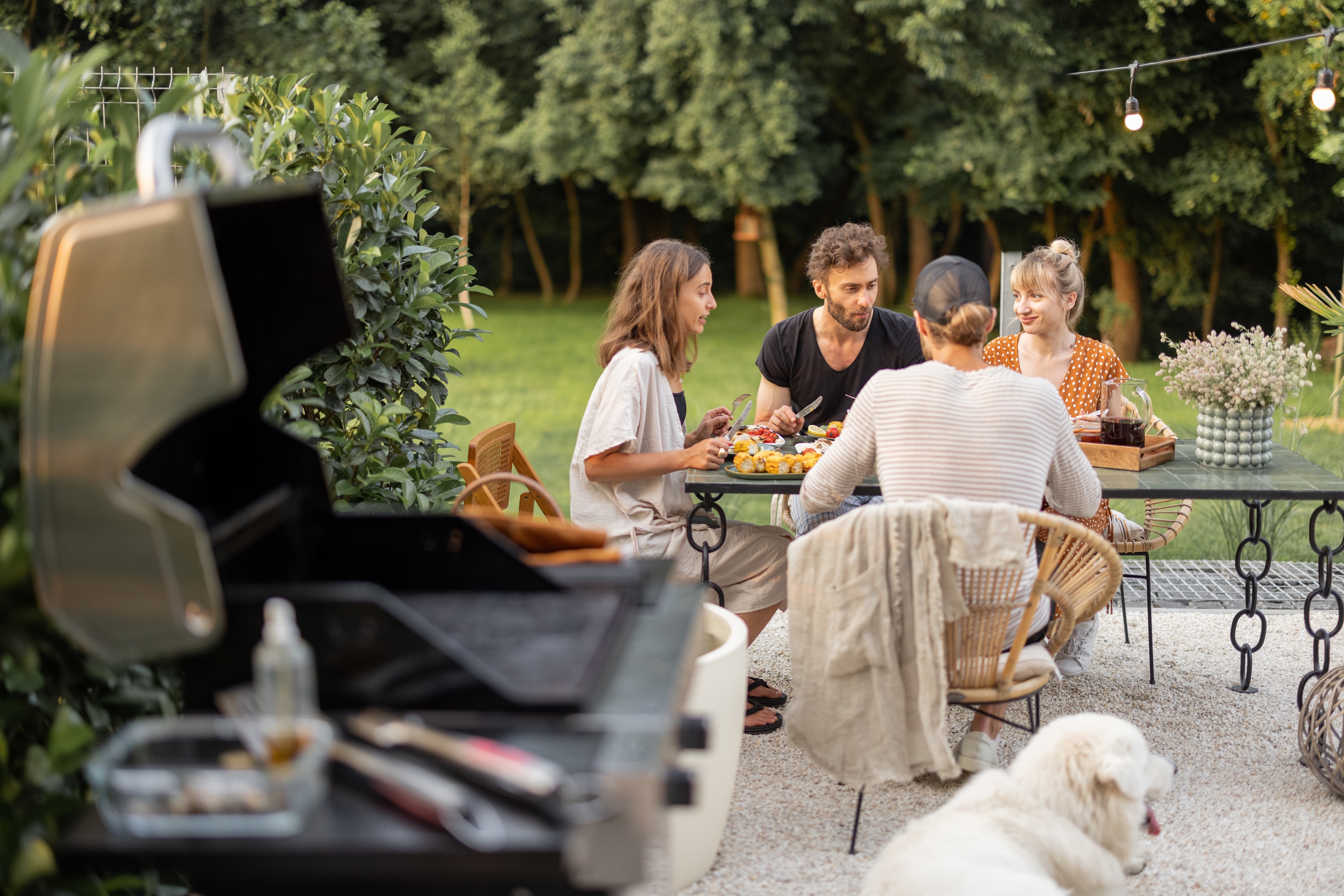 Picnic area with BBQ grills